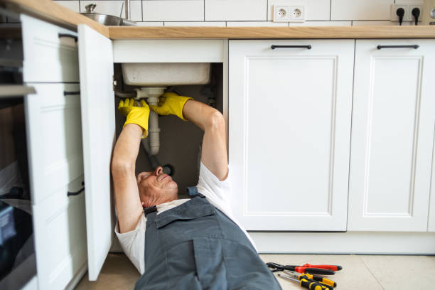  Roaring Spring, PA Plumbing Pros