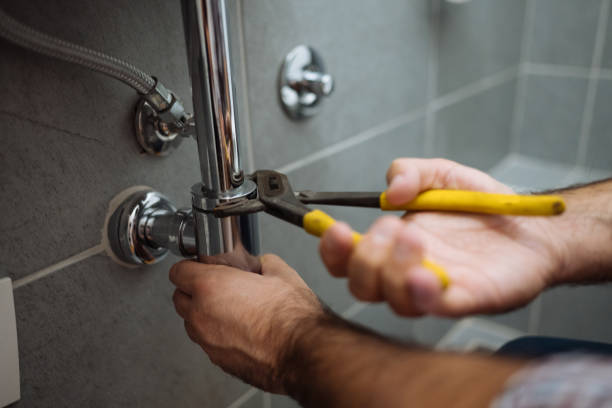 Best Local Plumber Services  in Roaring Spring, PA
